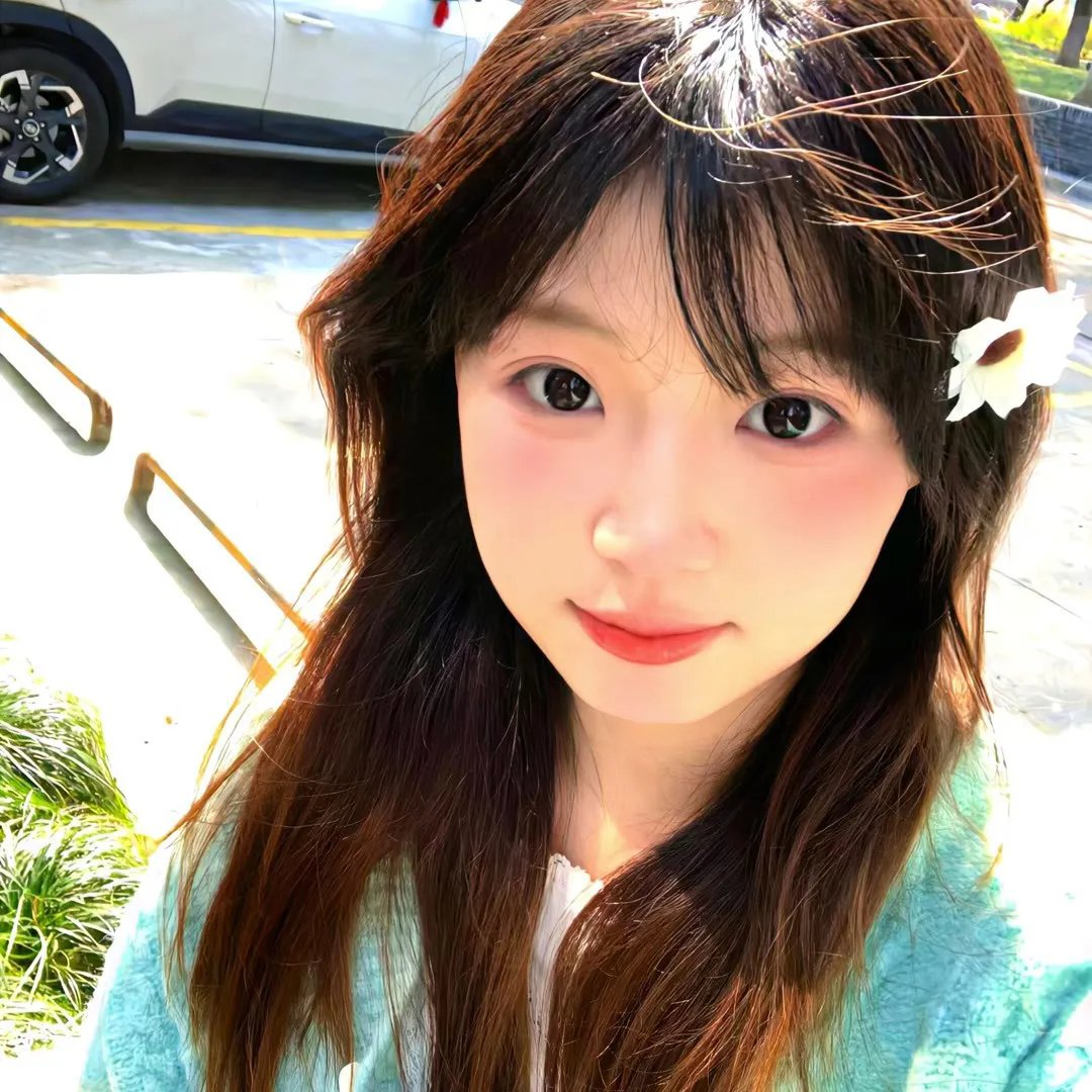 玫瑰 在线观看