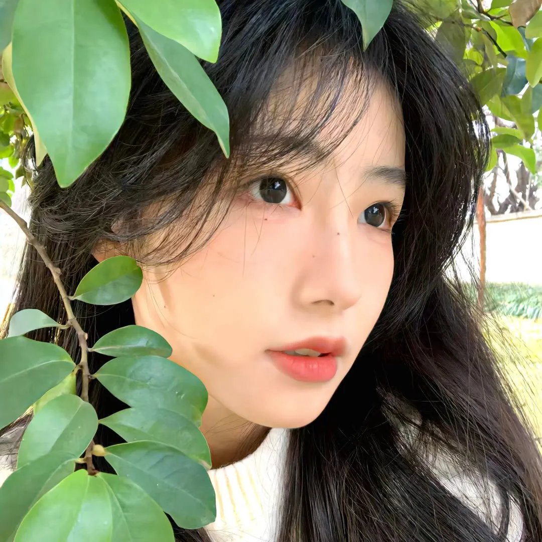 雁雁 在线观看